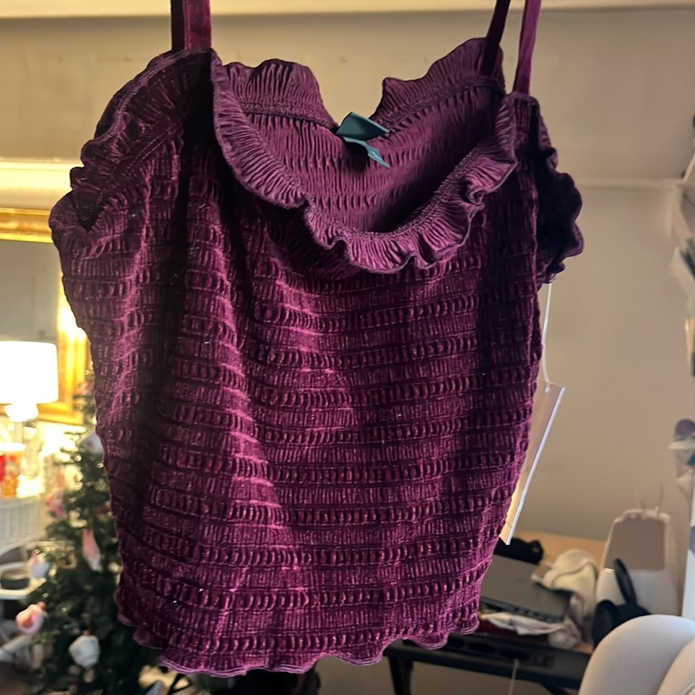 NWT maroon velvet textured crop top